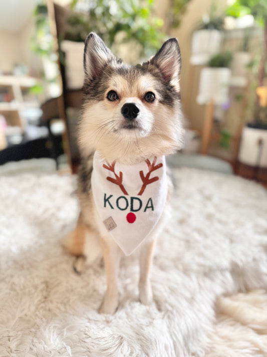 CUSTOM REINDEER BANDANA