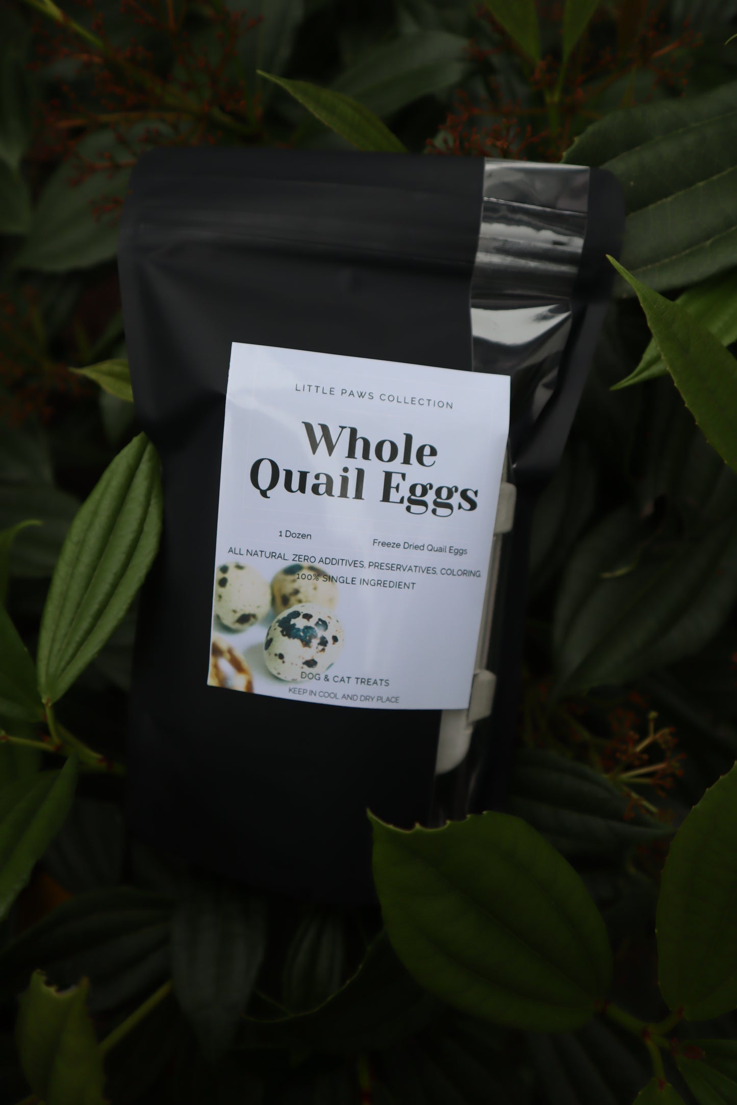 FREEZE DRIED WHOLE QUAIL EGGS