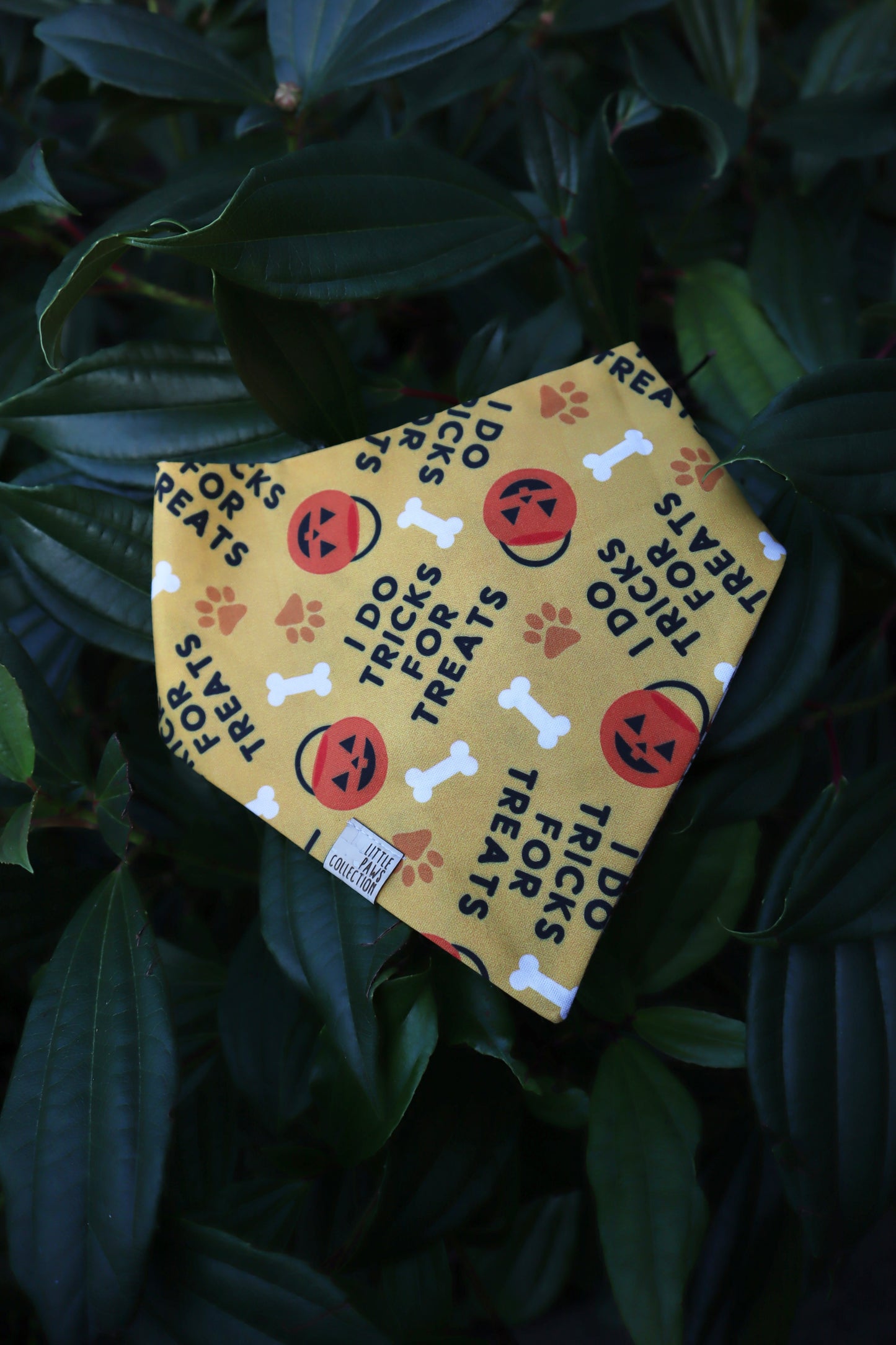 I DO TRICKS FOR TREATS