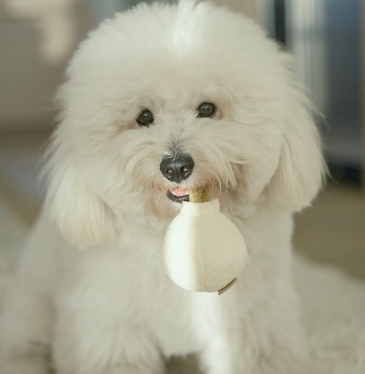 GARLIC POP / ENRICHMENT DOG TOY - LAMBWOLF