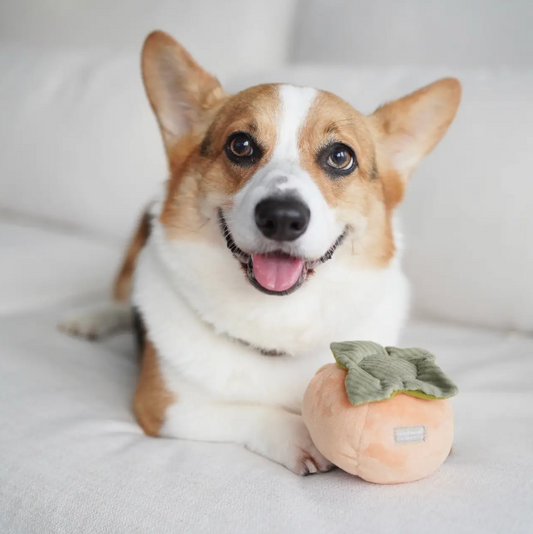 PERSIMMON / ENRICHMENT DOG TOY - LAMBWOLF