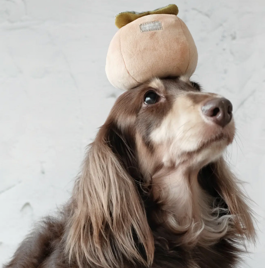 PERSIMMON / ENRICHMENT DOG TOY - LAMBWOLF