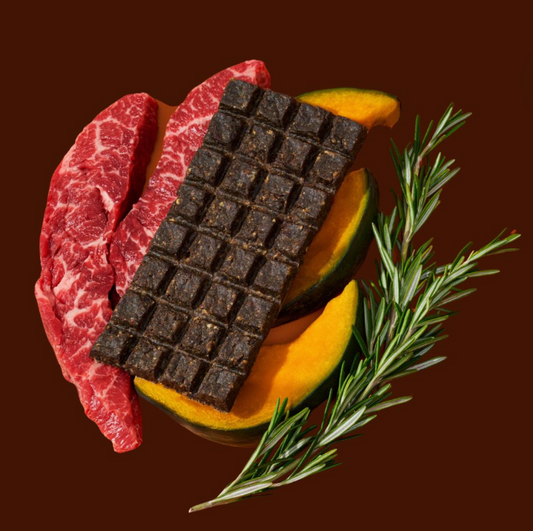RYŌKEN INSTINCT BEEF TREAT & SNACK BAR