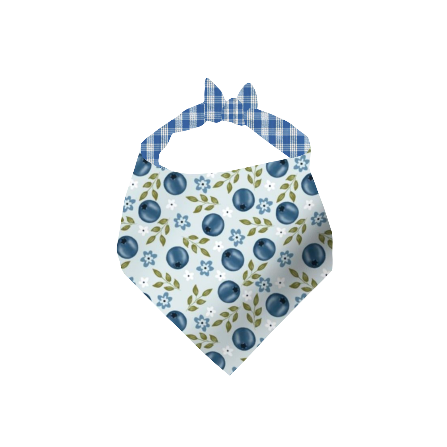 BLUEBERRIES (REVERSIBLE/PALAKA)