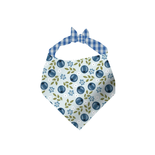 BLUEBERRIES (REVERSIBLE/PALAKA)