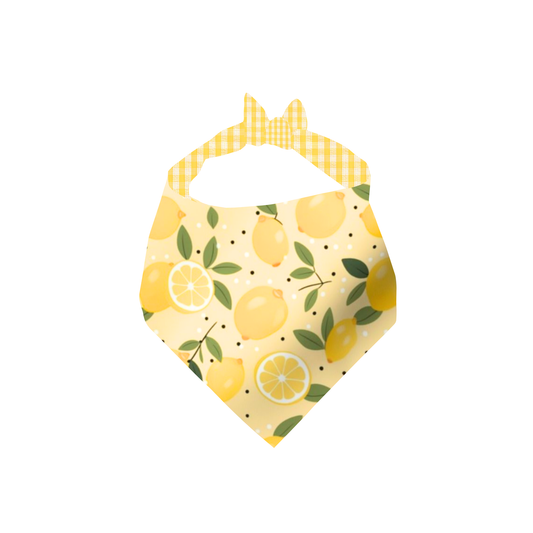 YUZU DROP (REVERSIBLE/PALAKA)