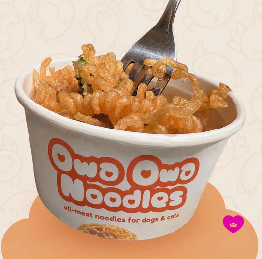 OWA OWA CHICKEN CUP NOODLE