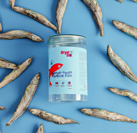 ARIA SIT CAPELIN