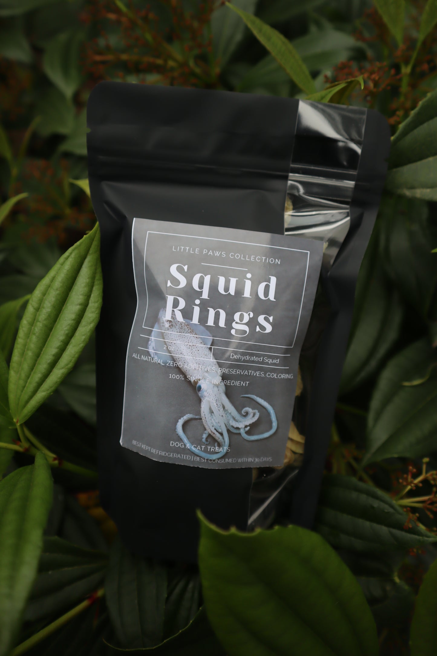NEW -- DEHYDRATED SQUID RINGS