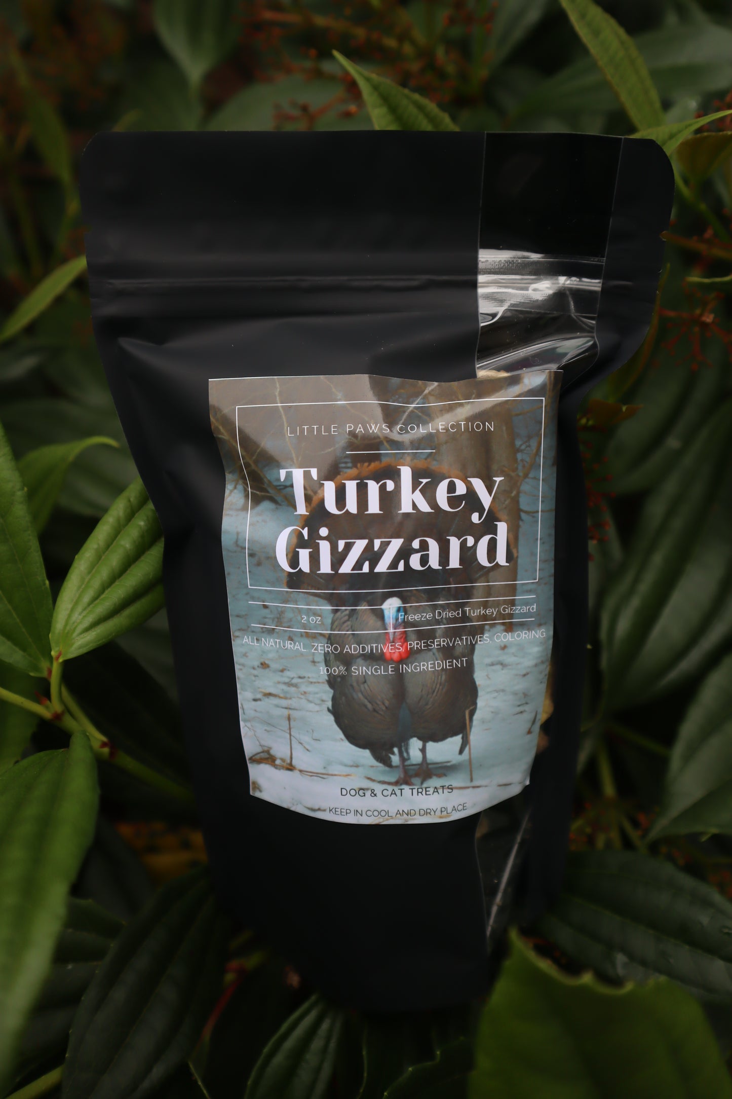 FREEZE DRIED TURKEY GIZZARD