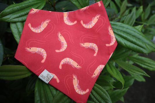 SHRIMPY (RED)