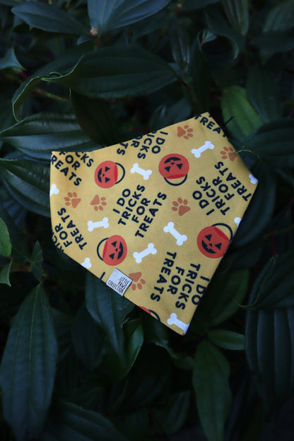 I DO TRICKS FOR TREATS
