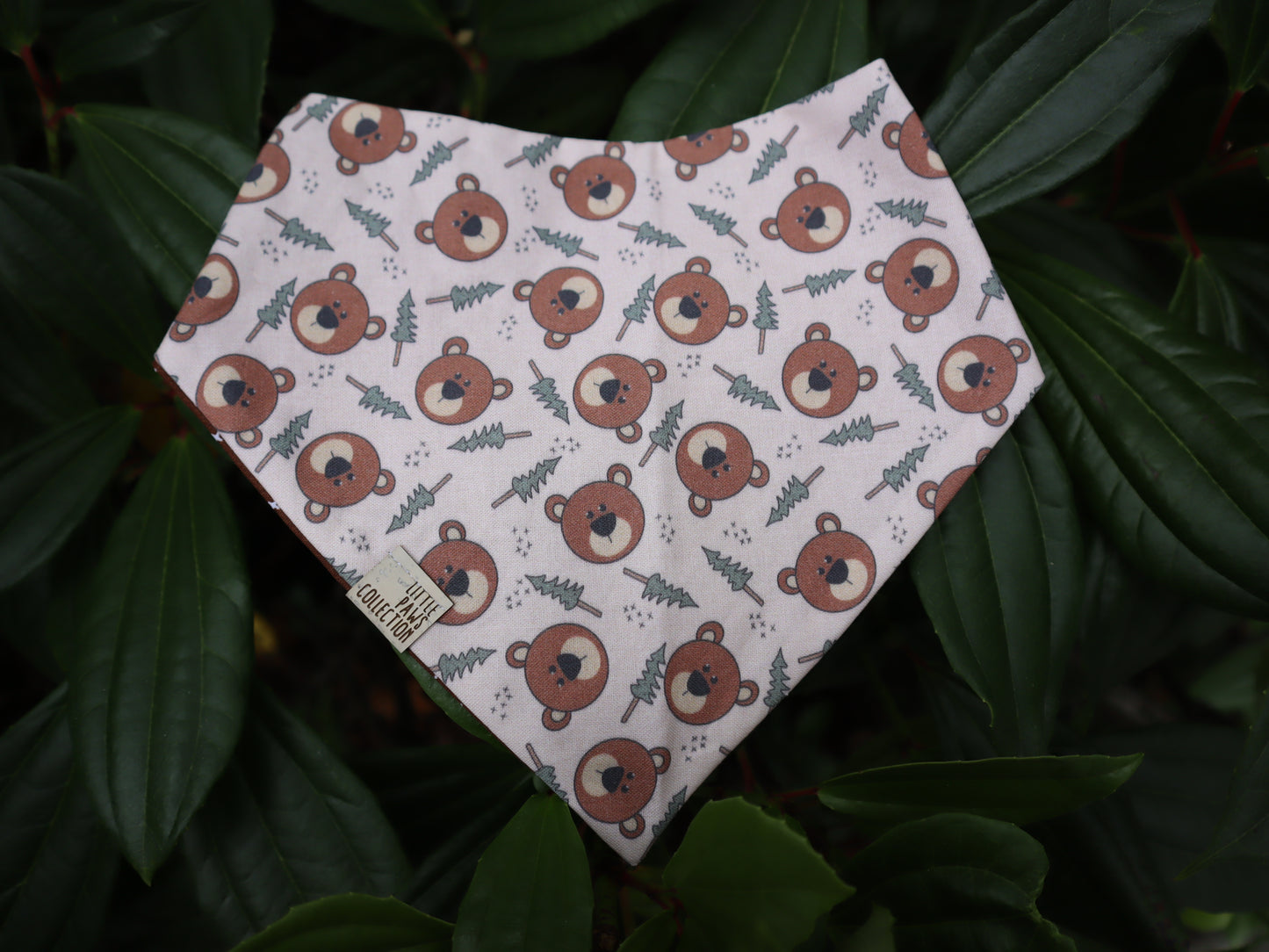 BROWN BEAR (REVERSIBLE)