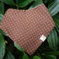 BROWN BEAR (REVERSIBLE)