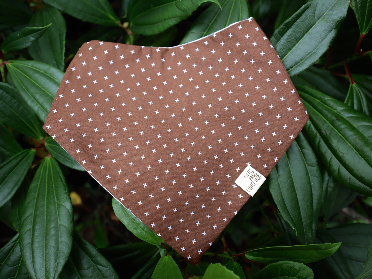 BROWN BEAR (REVERSIBLE)