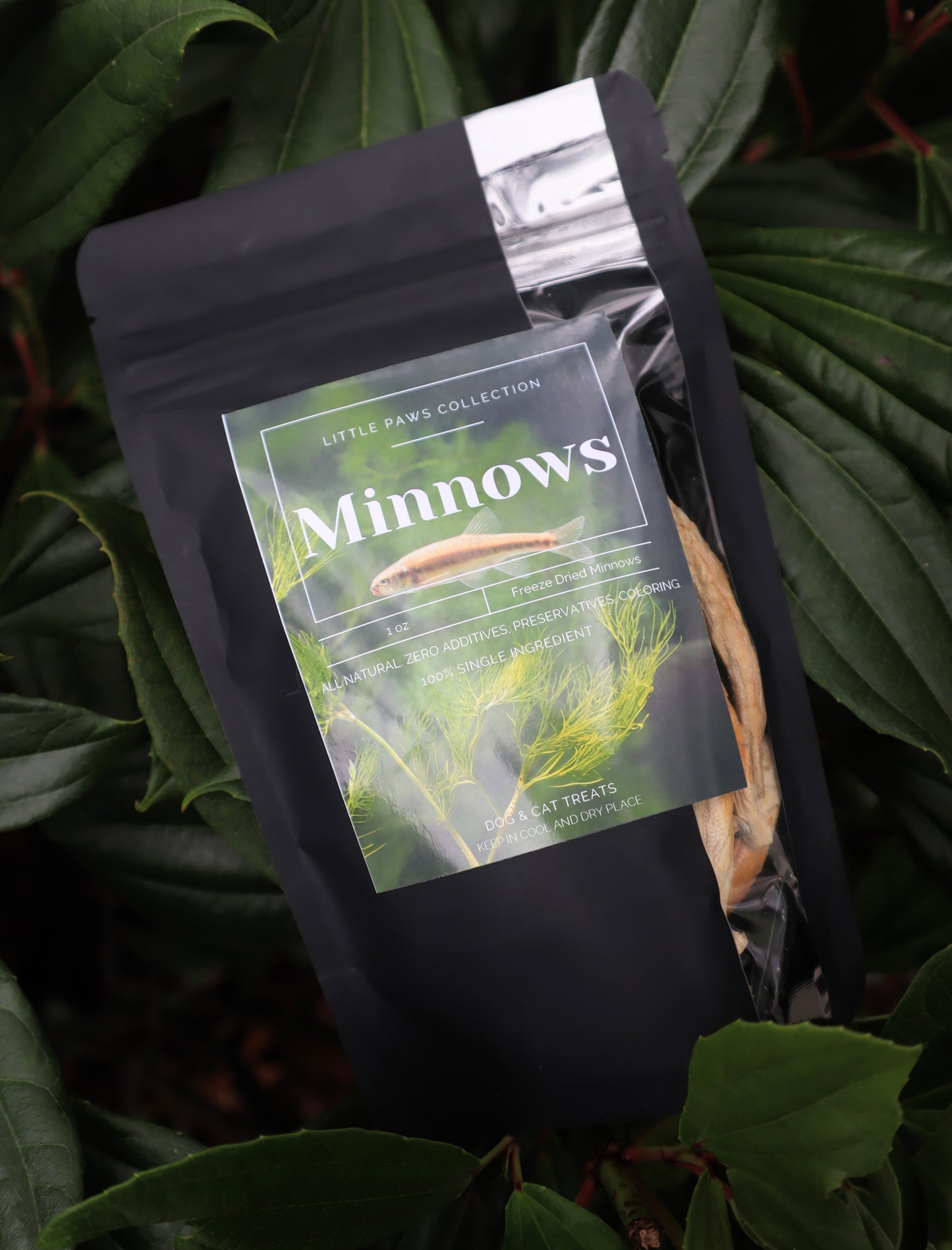 FREEZE DRIED MINNOWS