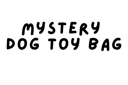MYSTERY DOG TOY BAG