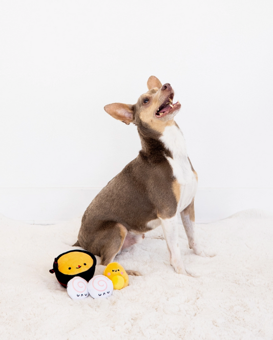 DOGKATSU RAMEN DOG TOY (Set of 3)