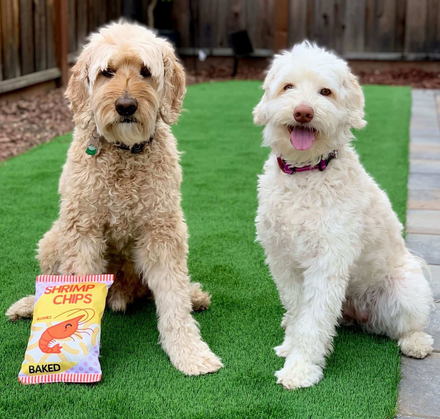 SHRIMP CHIPS DOG TOY - Blushiez