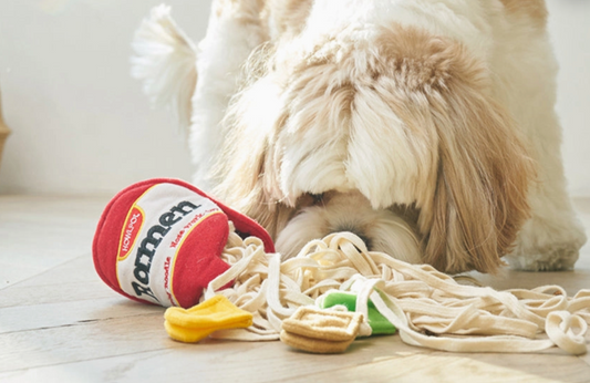 Cup Noodle Ramen