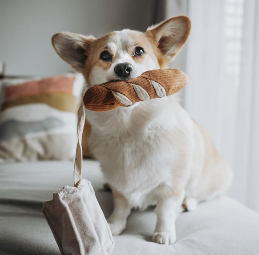 Lambwolf Mini Baguette Dog Toy
