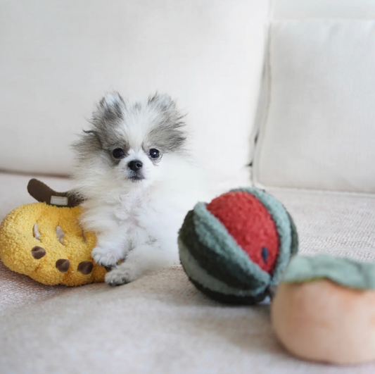 Lambwolf Watermelon Dog Toy