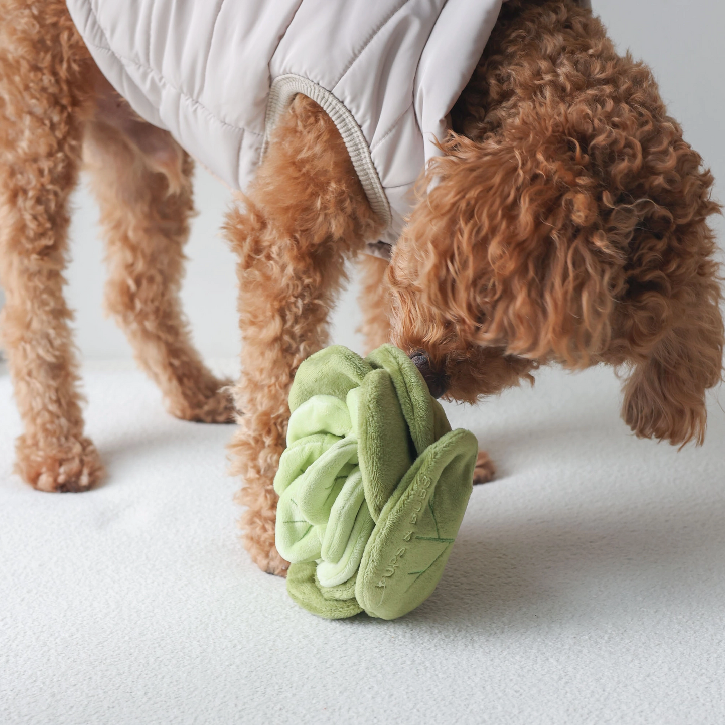 SNUFFLE CABBAGE NOSEWORK -Pups & Bubs