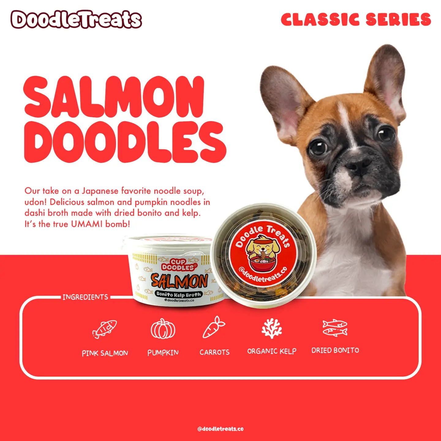 Salmon Cup Noodles For Dogs and Cats