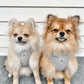 Grey Corduroy Harness