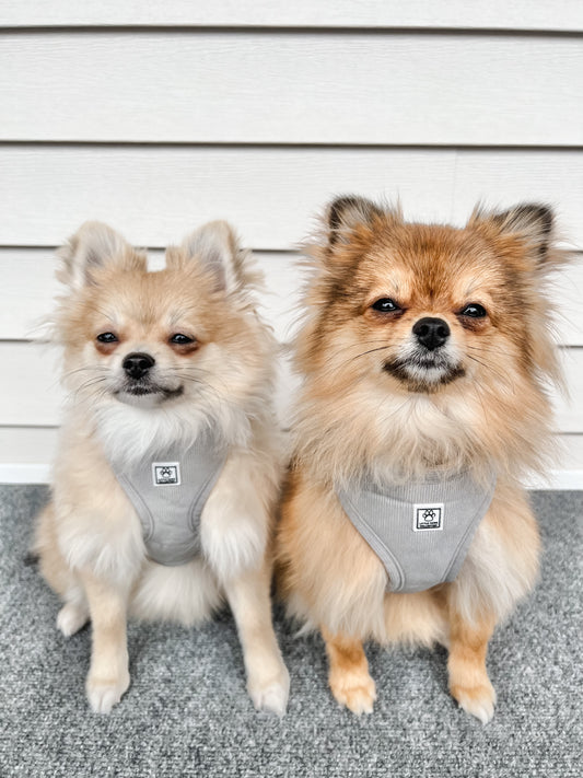 Grey Corduroy Harness