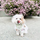 Sweet Bee (reversible)